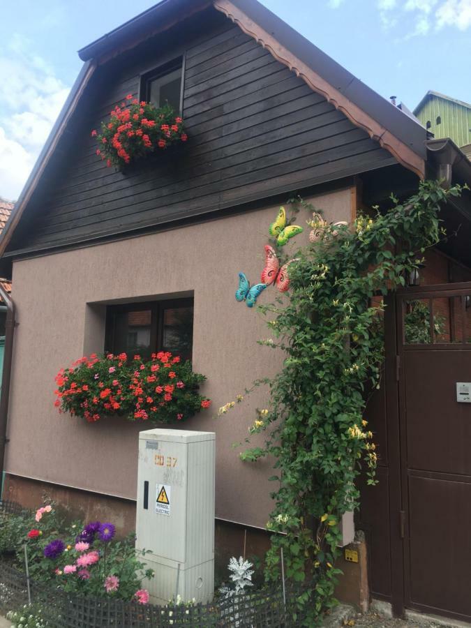 Maison Rosmina Brašov Exteriér fotografie